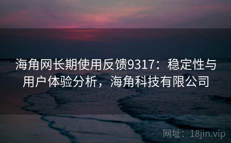 海角网长期使用反馈9317：稳定性与用户体验分析，海角科技有限公司