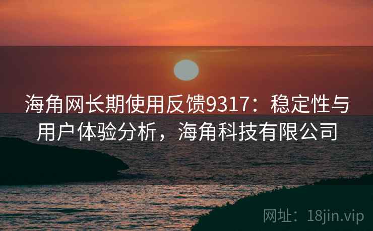 海角网长期使用反馈9317：稳定性与用户体验分析，海角科技有限公司