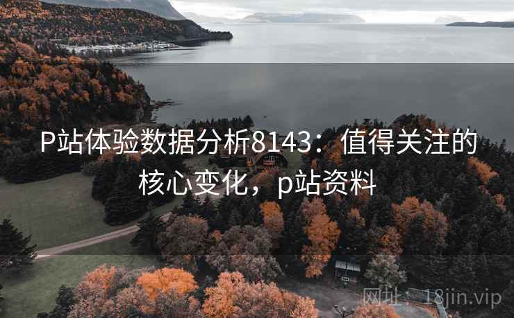 P站体验数据分析8143：值得关注的核心变化，p站资料
