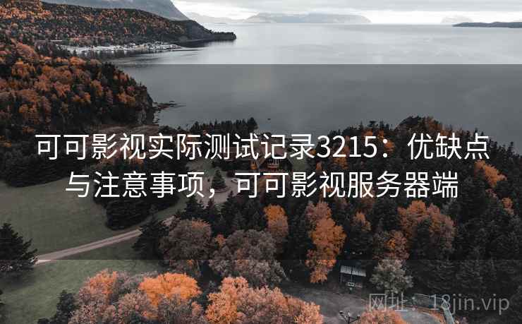 可可影视实际测试记录3215：优缺点与注意事项，可可影视服务器端
