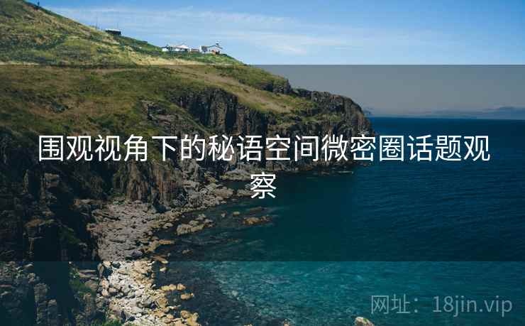 围观视角下的秘语空间微密圈话题观察