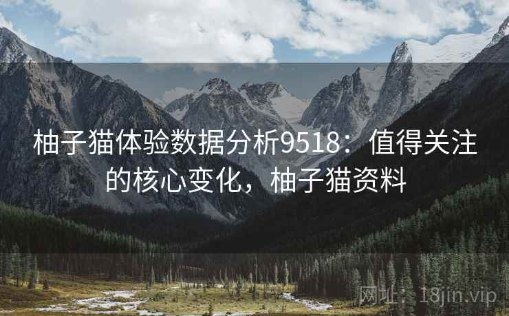柚子猫体验数据分析9518：值得关注的核心变化，柚子猫资料