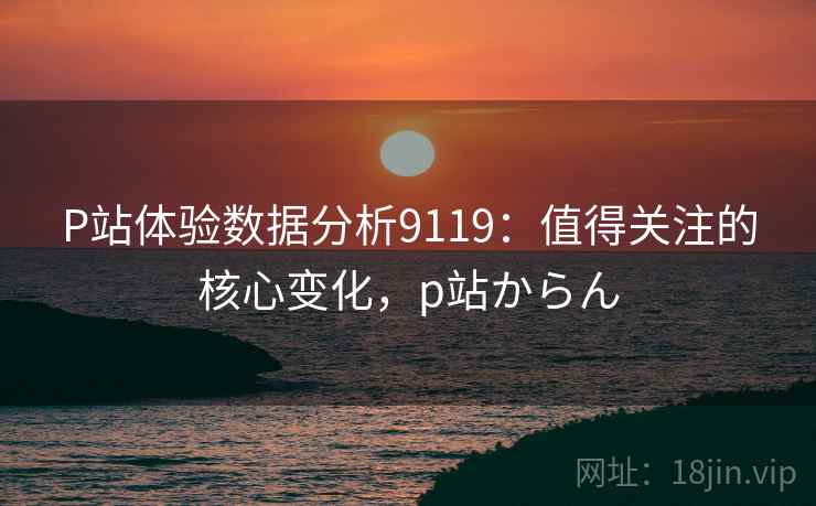 P站体验数据分析9119：值得关注的核心变化，p站からん