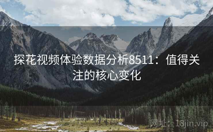 探花视频体验数据分析8511:值得关注的核心变化 探花视频体验数据分析8511:值得关注的核心变化
