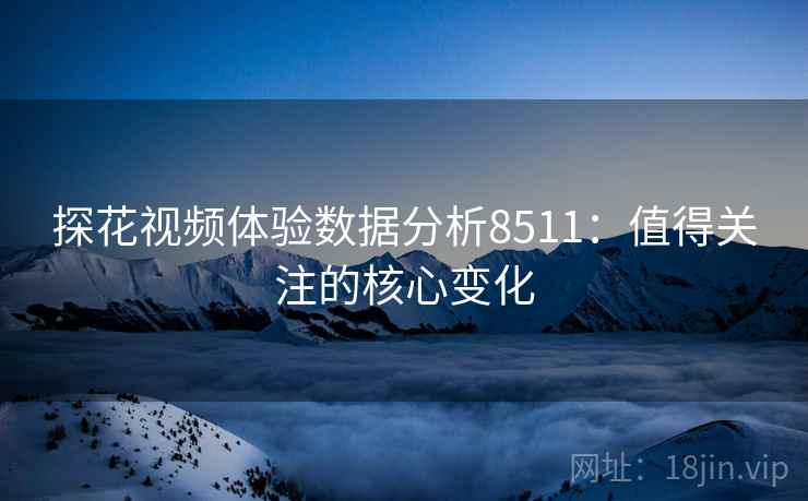 探花视频体验数据分析8511：值得关注的核心变化