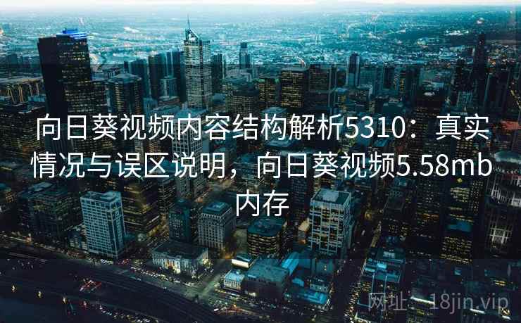 向日葵视频内容结构解析5310：真实情况与误区说明，向日葵视频5.58mb内存