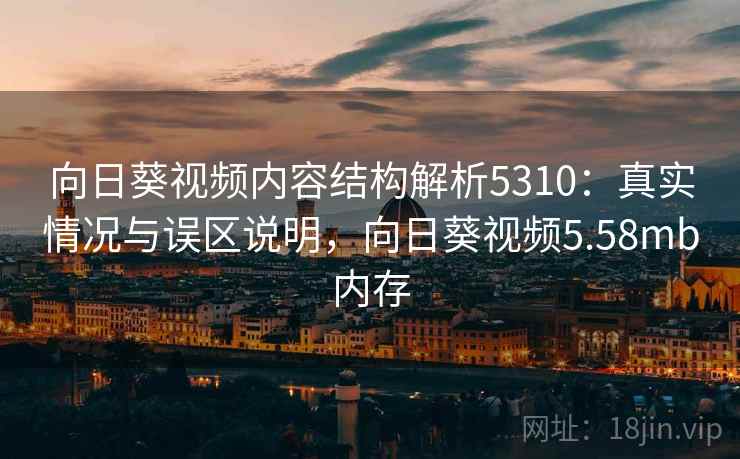 向日葵视频内容结构解析5310：真实情况与误区说明，向日葵视频5.58mb内存