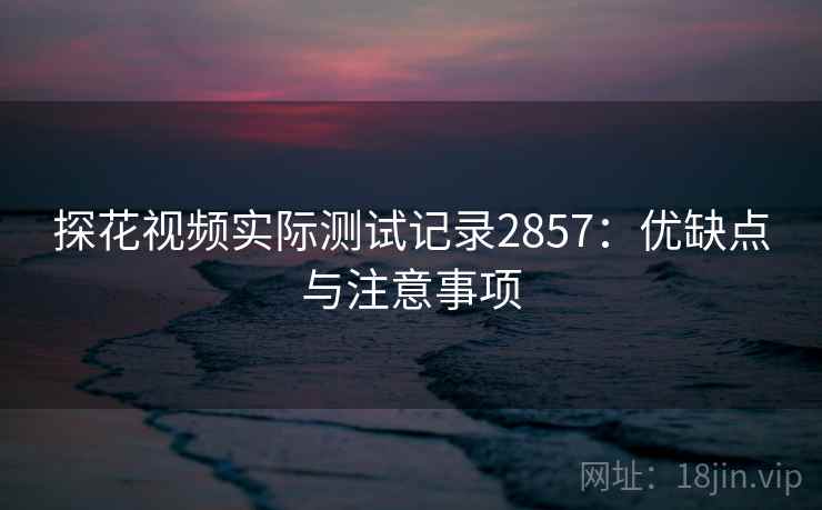 探花视频实际测试记录2857：优缺点与注意事项